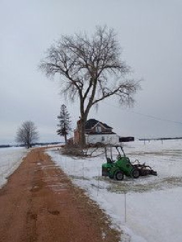 ArborVantage Tree Care