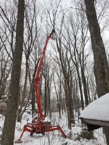 ArborVantage Tree Care