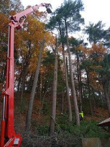 ArborVantage Tree Care