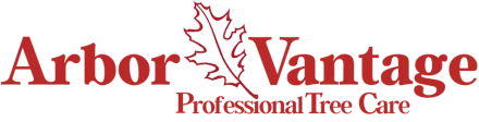 ArborVantage Tree Care