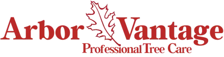 ArborVantage Tree Care