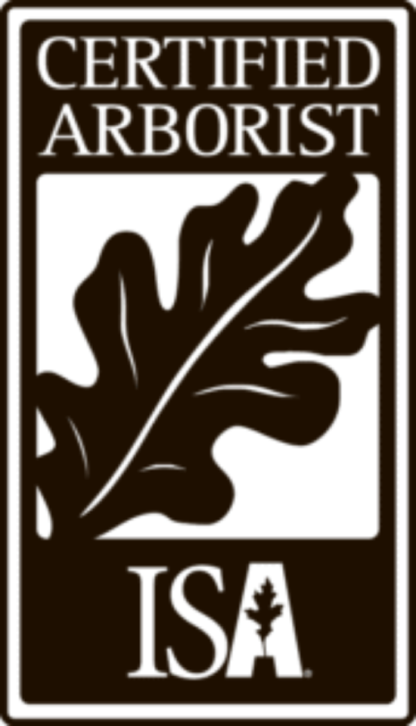 ISA