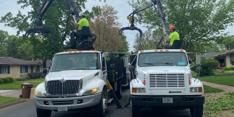 Emergency Tree Services in Wisconsin Rapids, Wisconsin