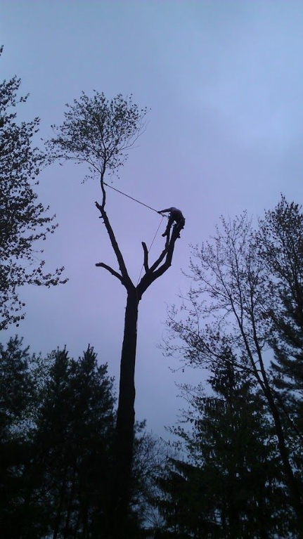 ArborVantage