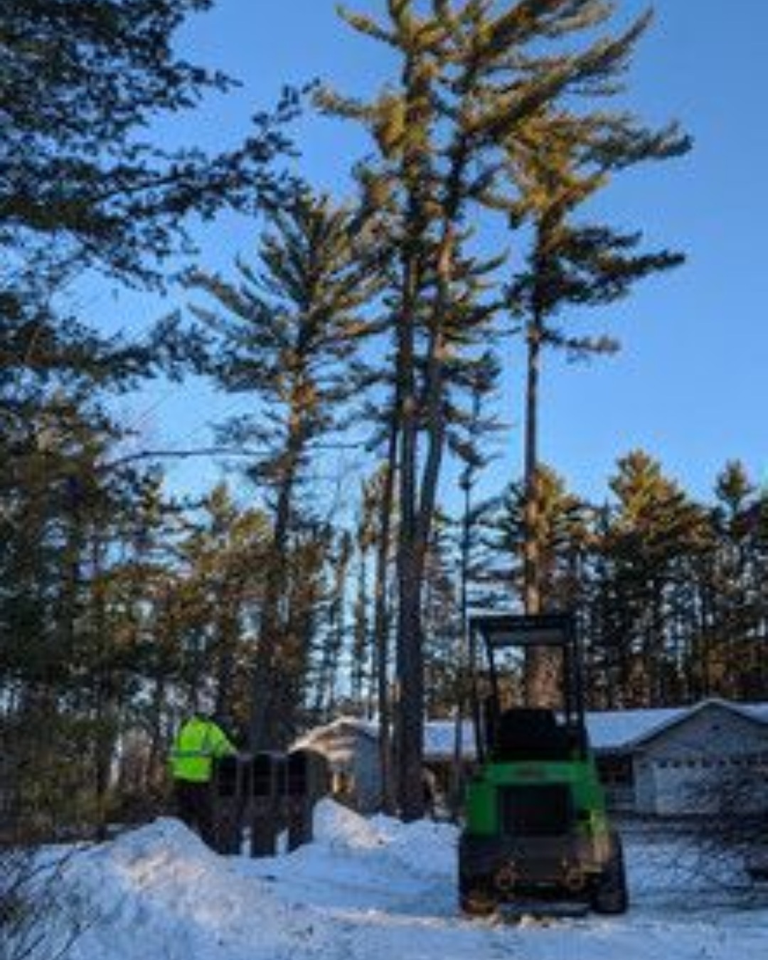 Stump Grinding New-Project-2026-02-26T141133.249