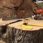 Tree Removal