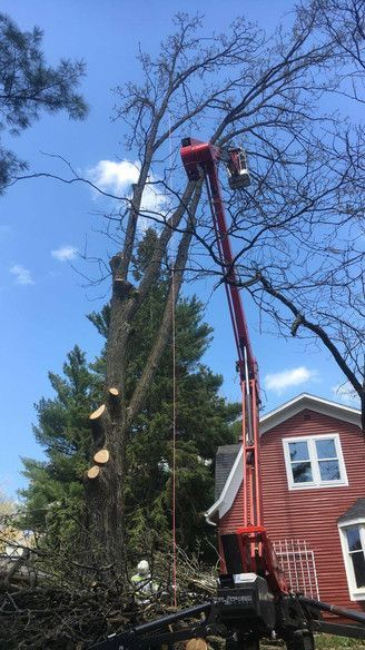 ArborVantage