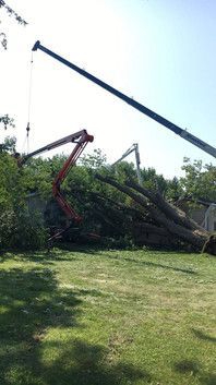 ArborVantage