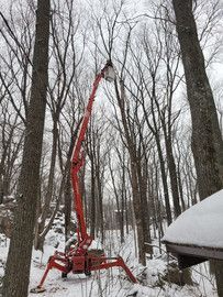 ArborVantage