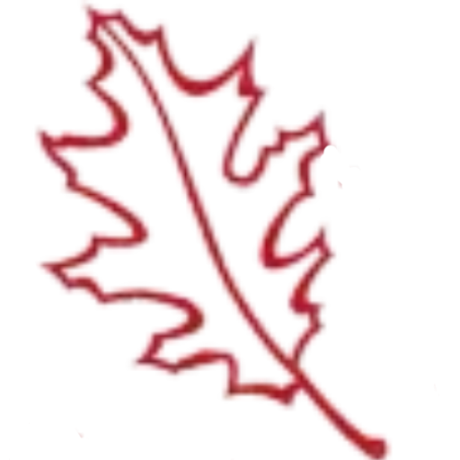 leaf - cropped-ArborVantage-Favicon