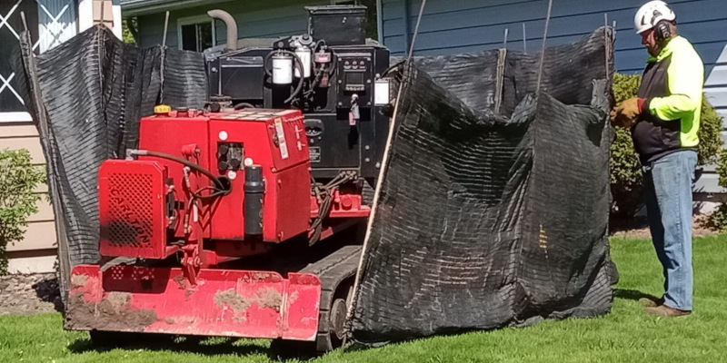 Stump Grinding in Wisconsin Rapids, Wisconsin