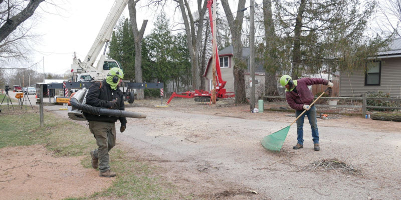 Lot Clearing in Wisconsin Rapids, Wisconsin