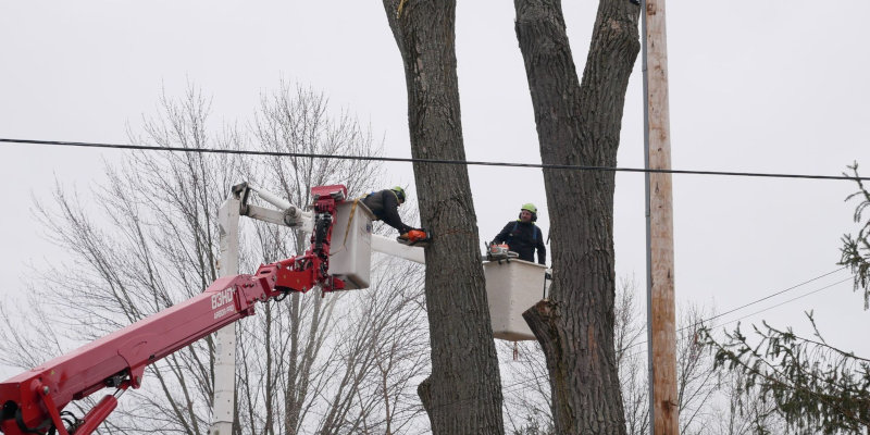 Crane Assisted Removal in Wisconsin Rapids, Wisconsin