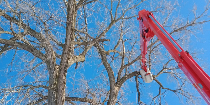 Storm Cleanup in Wisconsin Rapids, Wisconsin