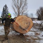 Site & Property Clearing
