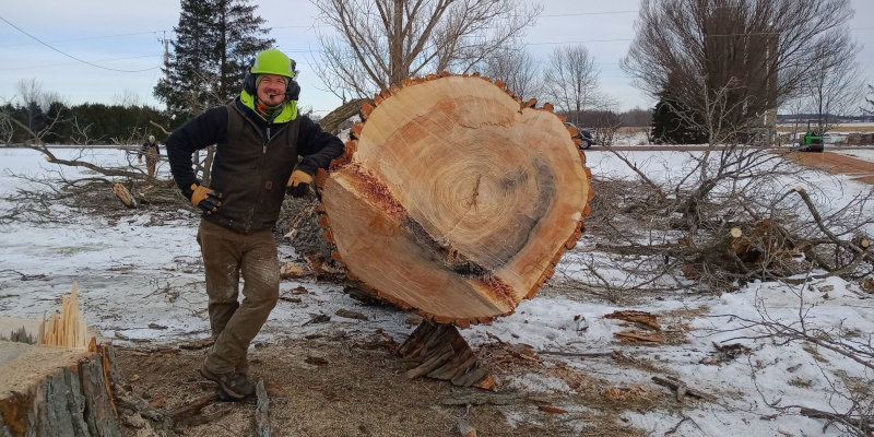 Site & Property Clearing in Wisconsin Rapids, Wisconsin