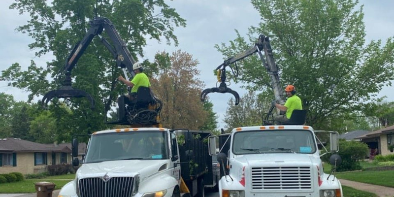 Tree Support Systems in Wisconsin Rapids, Wisconsin